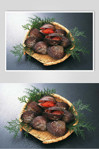 扇贝海鲜食品餐厅美食高清图片