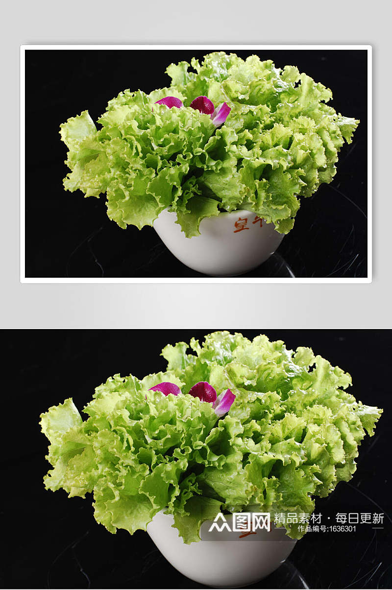 新鲜生菜蔬菜美食摄影图片素材