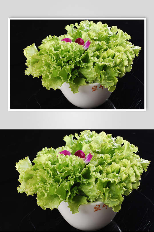 新鲜生菜蔬菜美食摄影图片