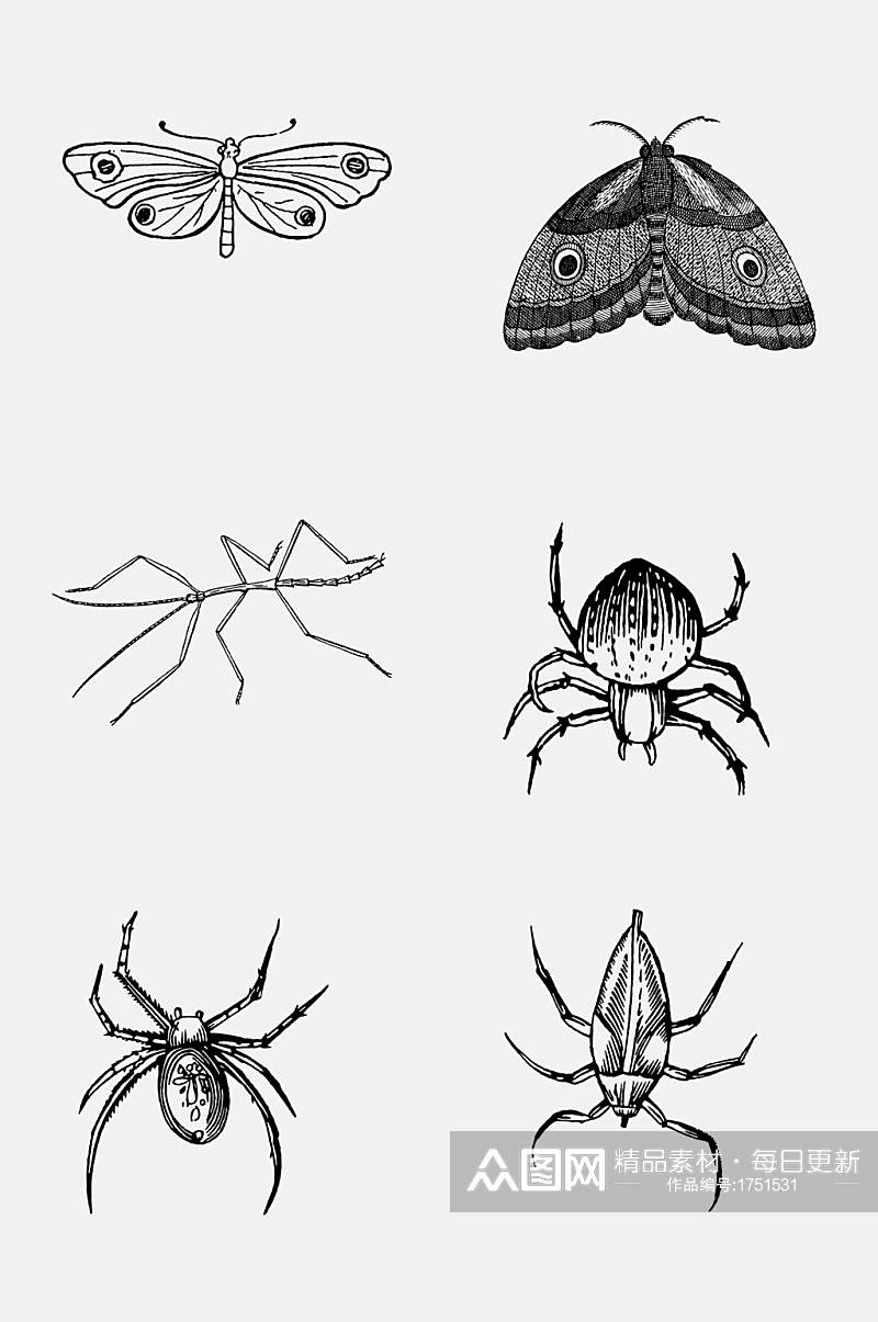 蝴蝶蜘蛛昆虫免抠元素素材素材