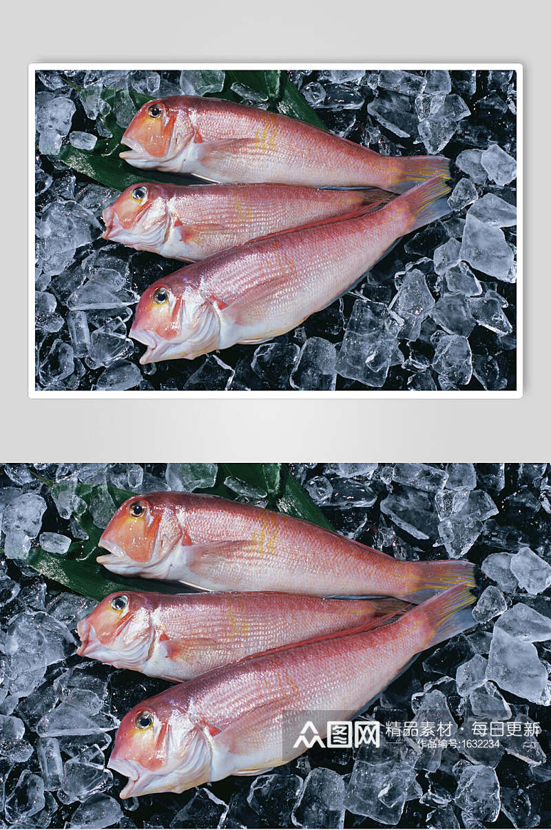 冰镇海鱼高清摄影图片素材