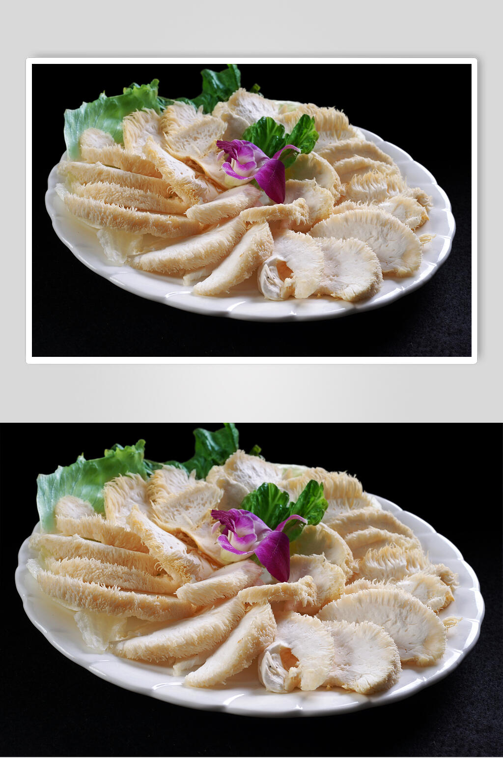 菌类猴头菇高清图片素材