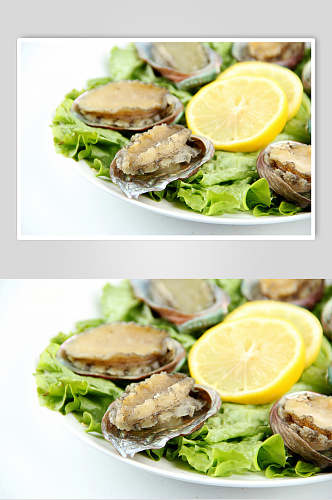 牡蛎海鲜食品高清图片