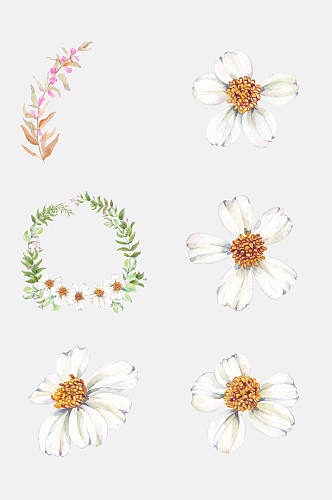 手绘水彩雏菊花卉植物免抠元素