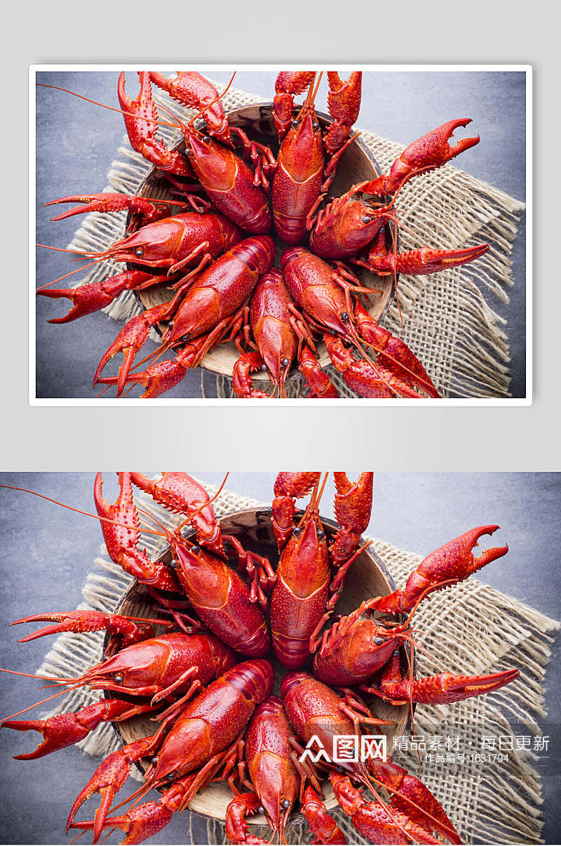 新鲜大龙虾高清图片素材