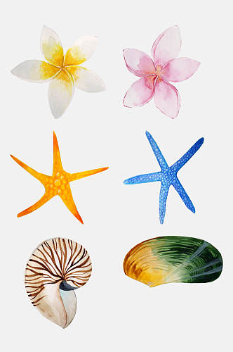 手绘水彩植物免抠元素海洋贝壳PNG元素