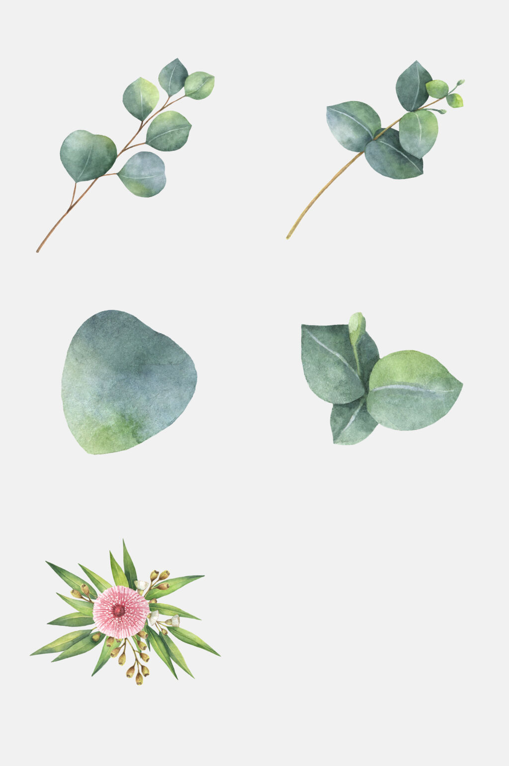 树叶水彩植物元素素材素材