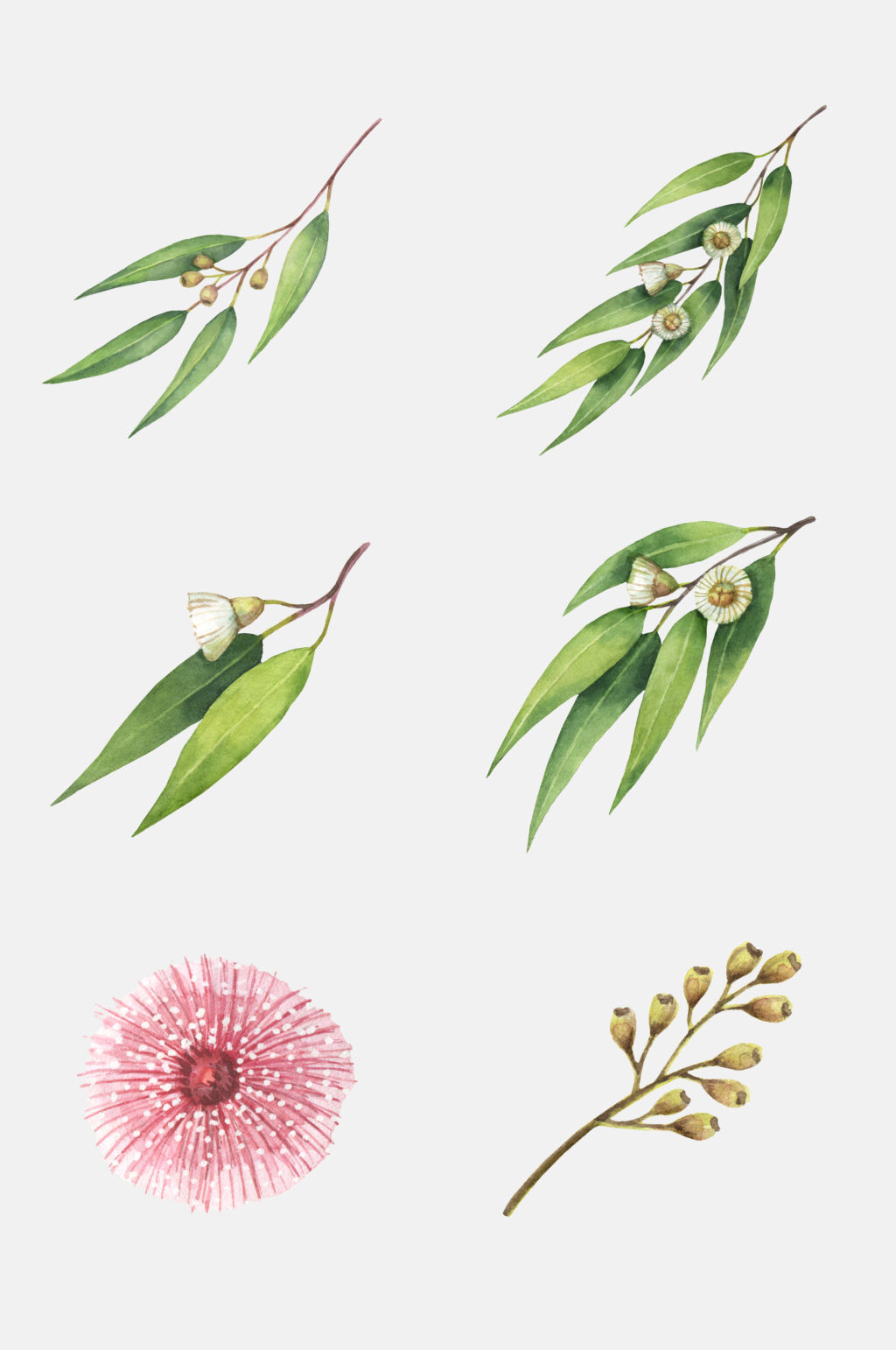 树叶水彩植物元素素材素材