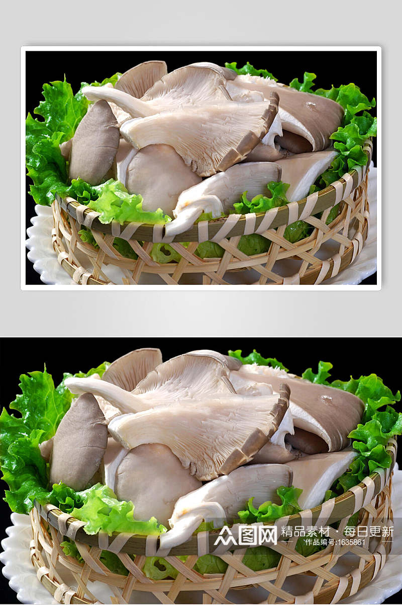 平菇蔬菜高清图片素材