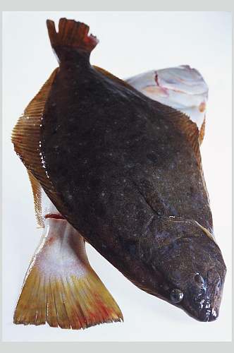 新鲜斑鱼海鱼美食高清图片