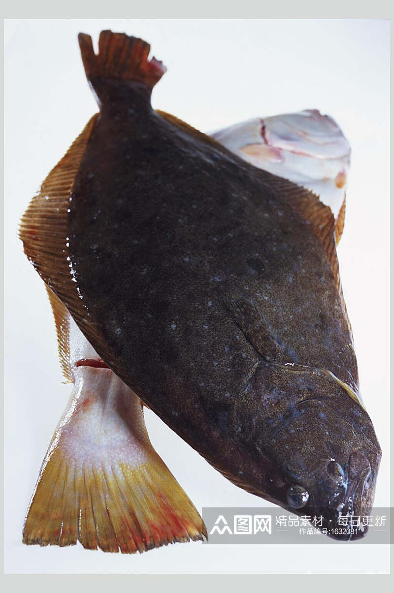 新鲜斑鱼海鱼美食高清图片素材