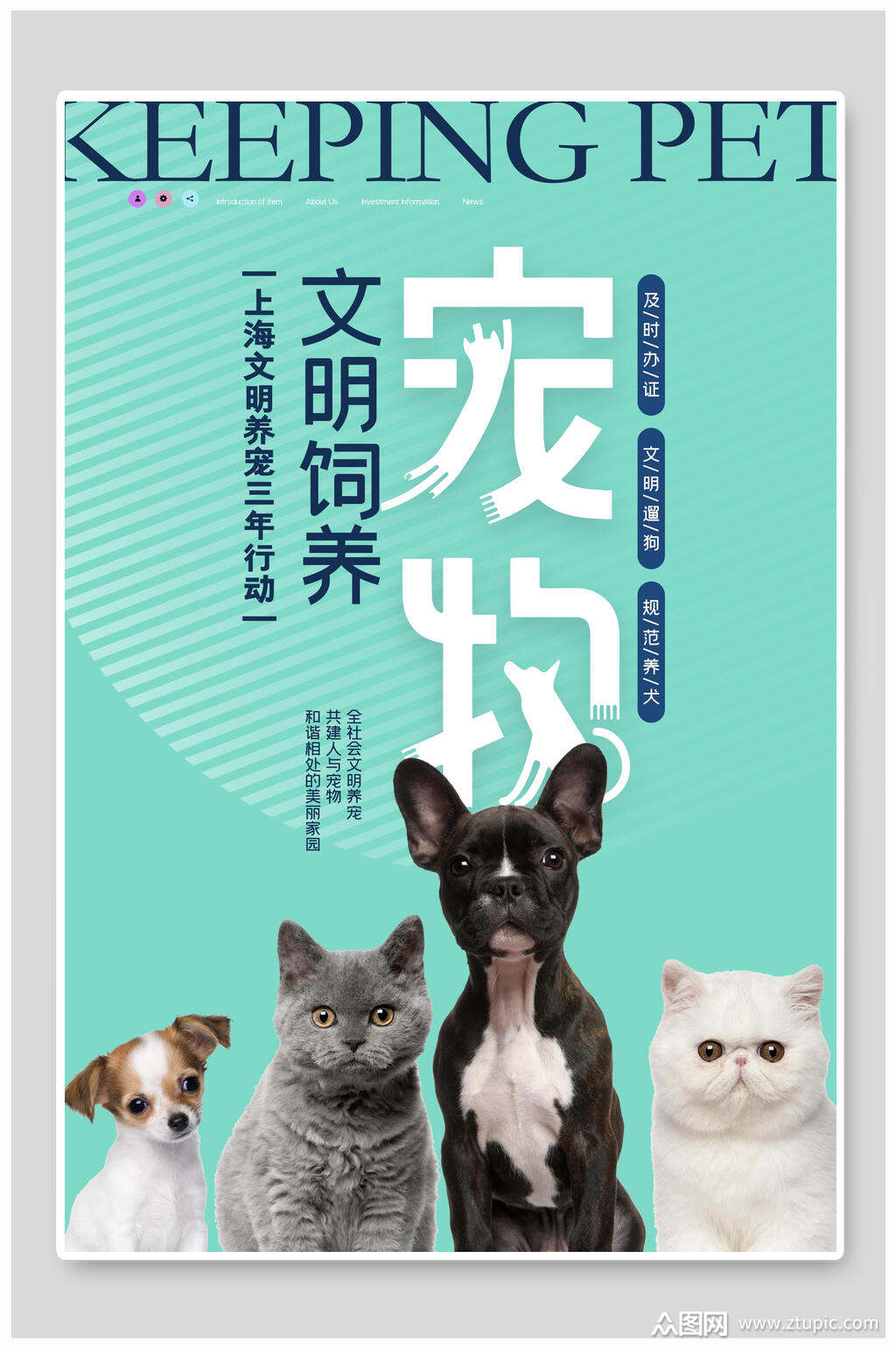 清新文明养宠 萌宠海报模板下载-编号1629881-众图网