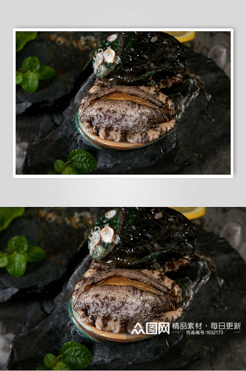 新鲜鲍鱼美食高清图片素材