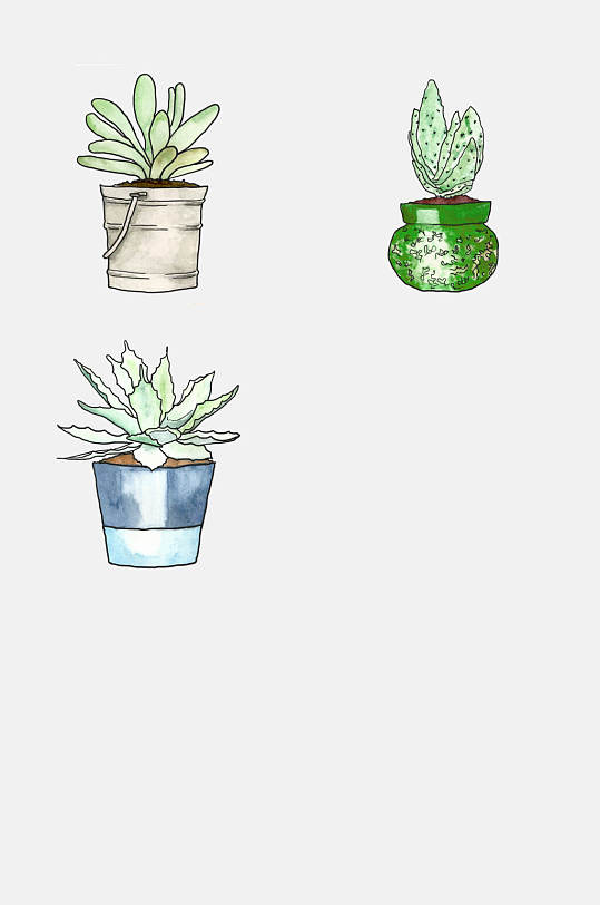 手绘仙人球盆栽png免抠设计素材