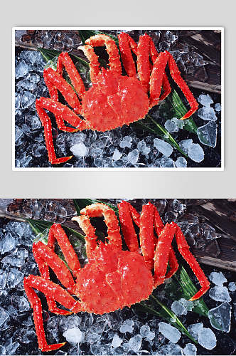 新鲜帝王蟹食品高清图片