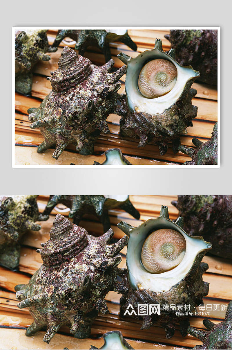 海螺食品高清图片素材