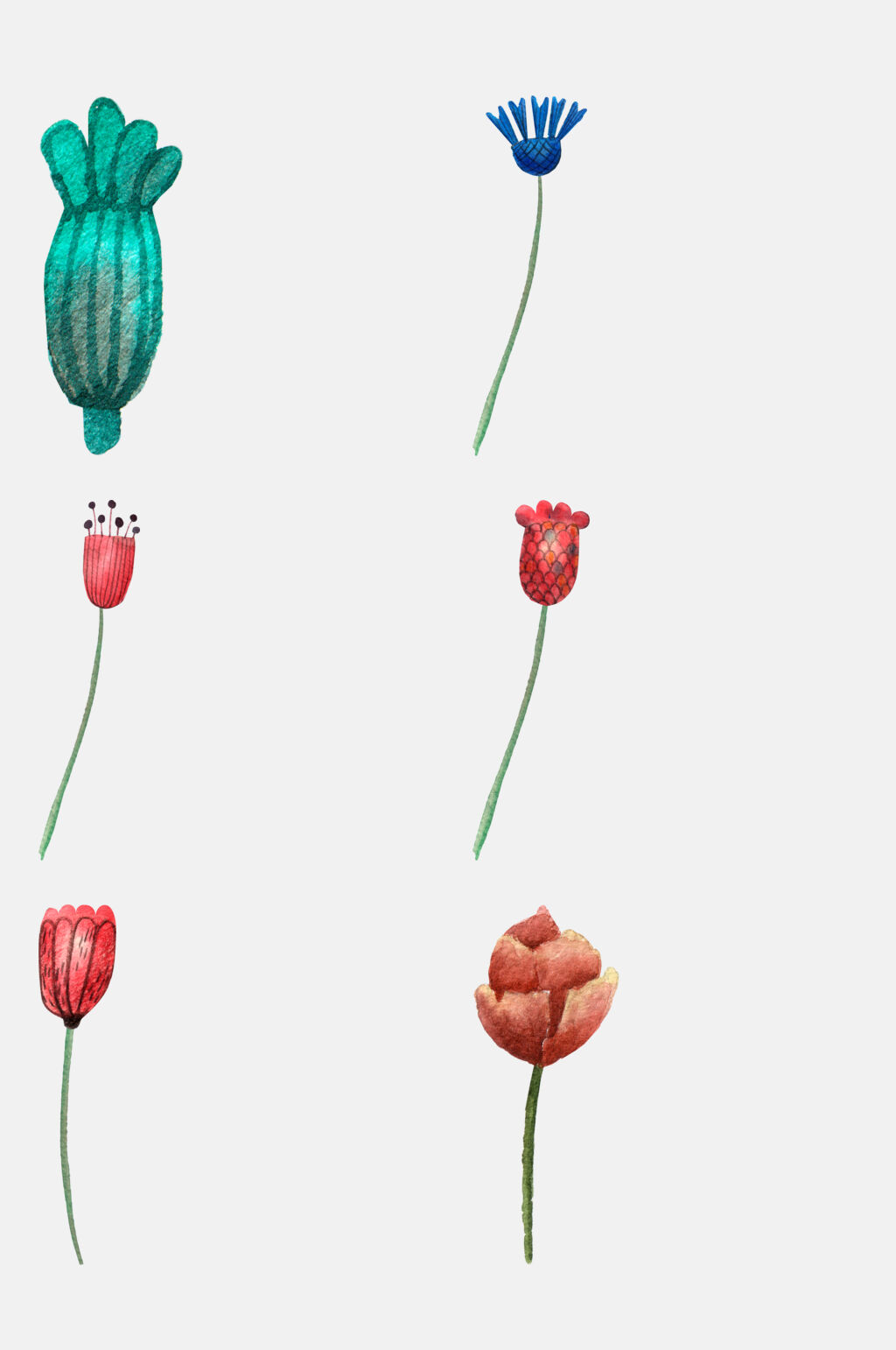 水彩郁金香花卉动物元素素材素材