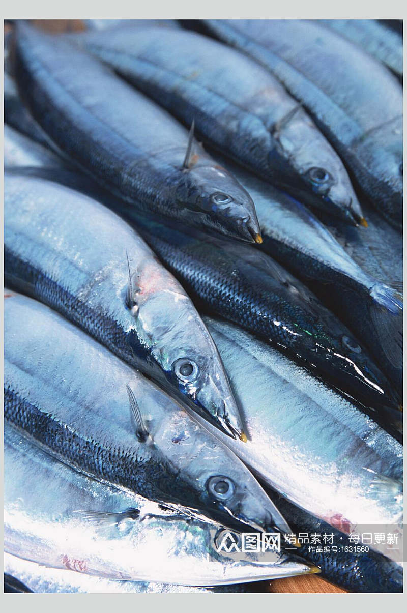 新鲜海鱼食品特写高清图片素材