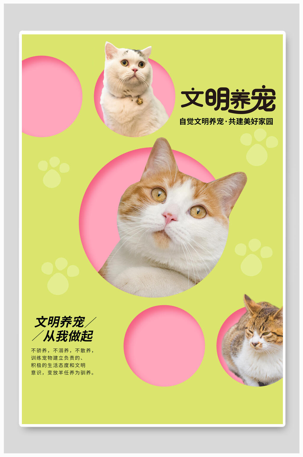 清新猫咪文明养宠海报素材