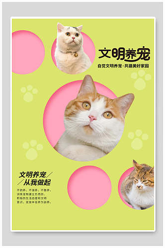 清新猫咪文明养宠海报