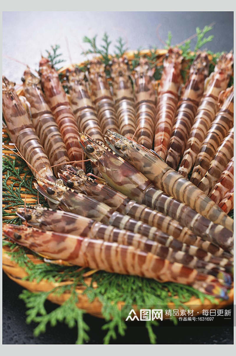 皮皮虾海鲜食品高清图片素材