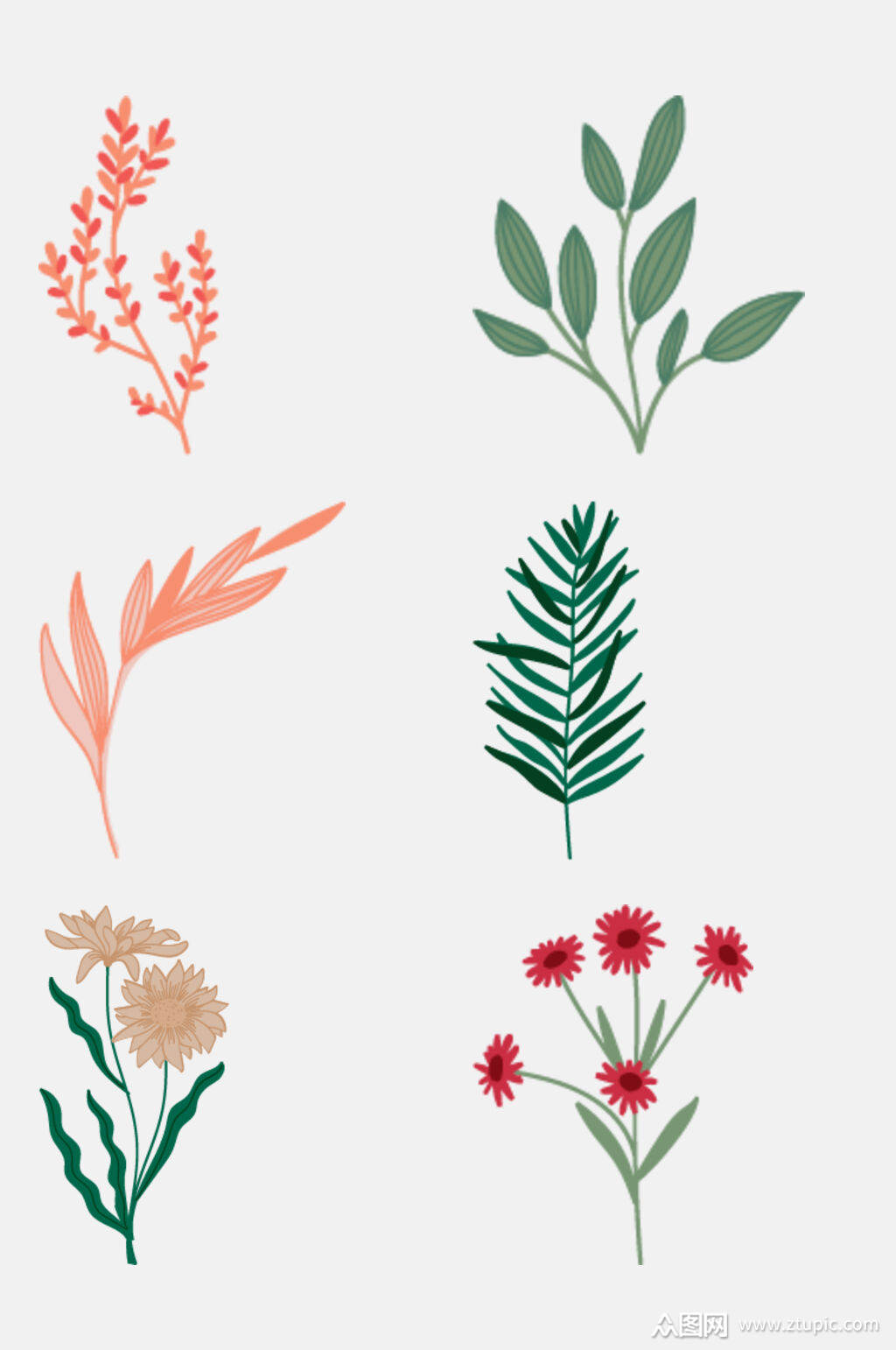 手绘画植物花草元素素材