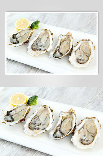 新鲜牡蛎食品高清图片