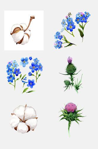 棉花手绘画花卉免抠元素素材