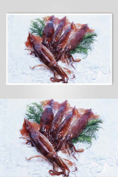 新鲜鱿鱼海鲜美食高清图片