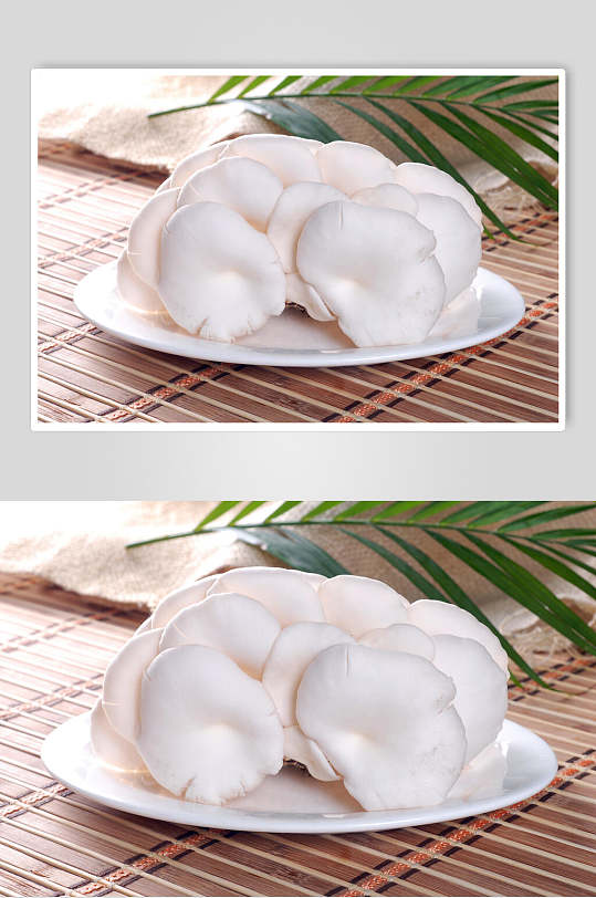 小白菇美食摄影图片