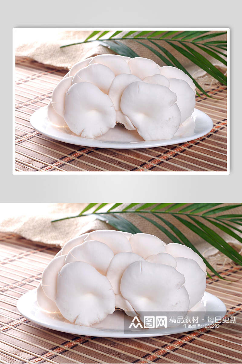 小白菇美食摄影图片素材