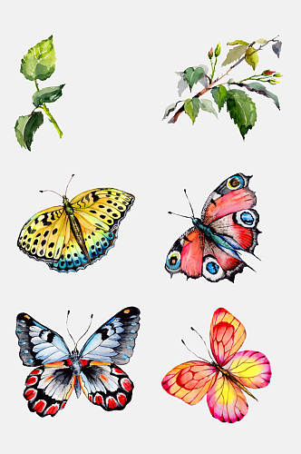 蝴蝶手绘画花卉免抠元素素材