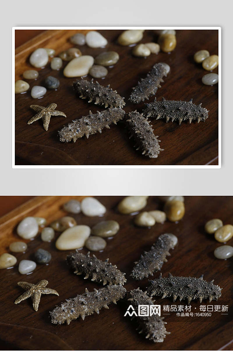 海参美食海鲜摄影图片素材