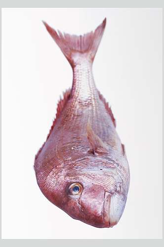 海鲜海鱼餐厅食品高清图片