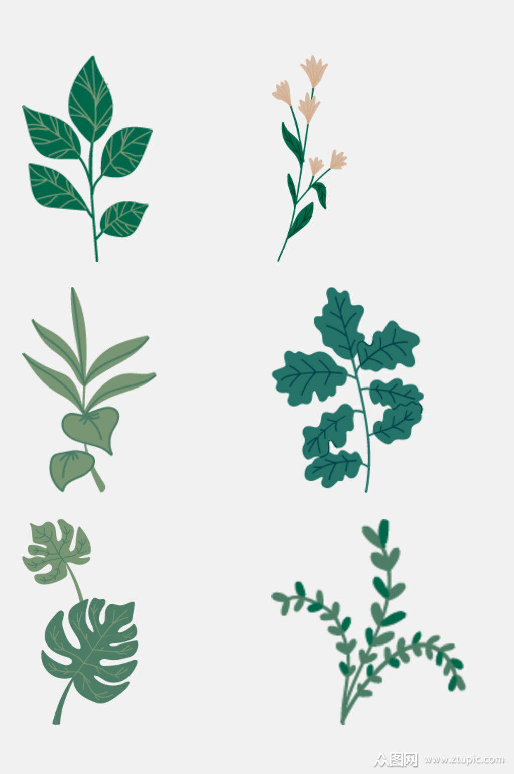 手绘画植物花草元素素材