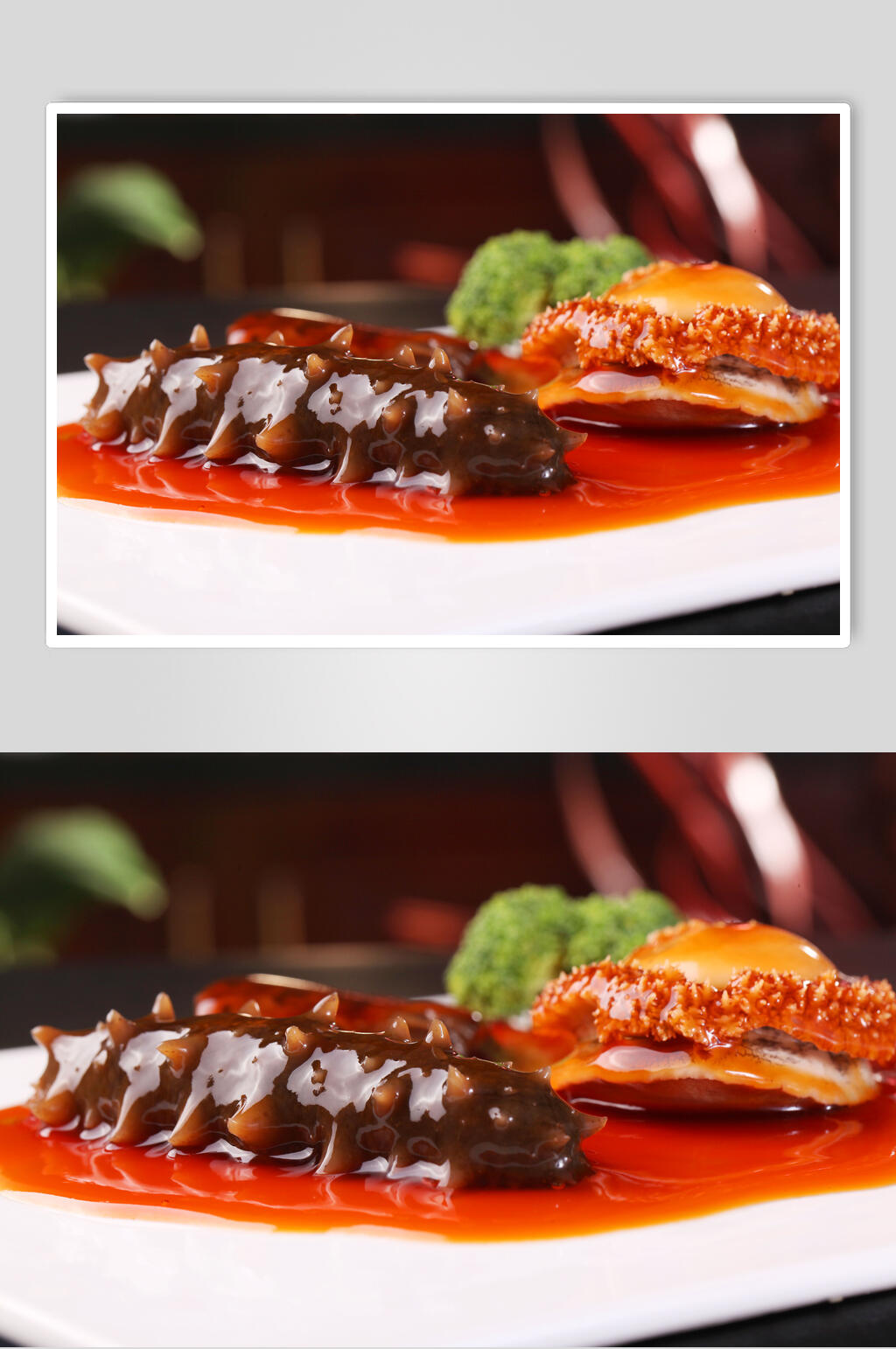 美味海参美食海鲜摄影图片素材