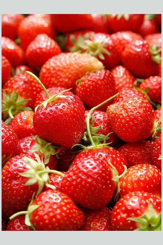 草莓园新鲜美味水果摄影图
