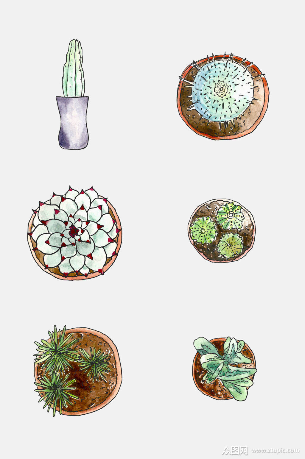 手绘仙人球植物盆栽png免抠素材