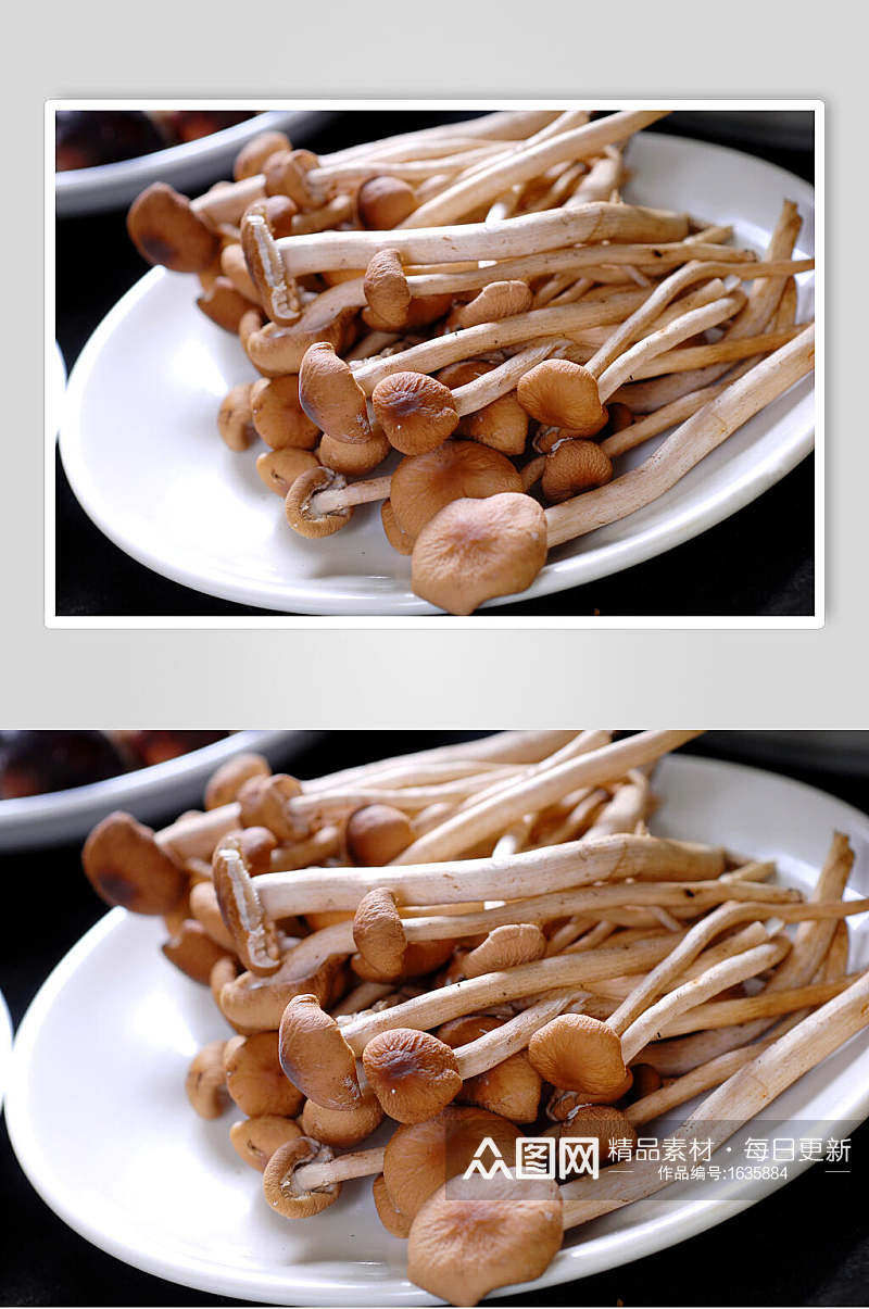 海鲜汤锅类茶树菇食品高清图片素材