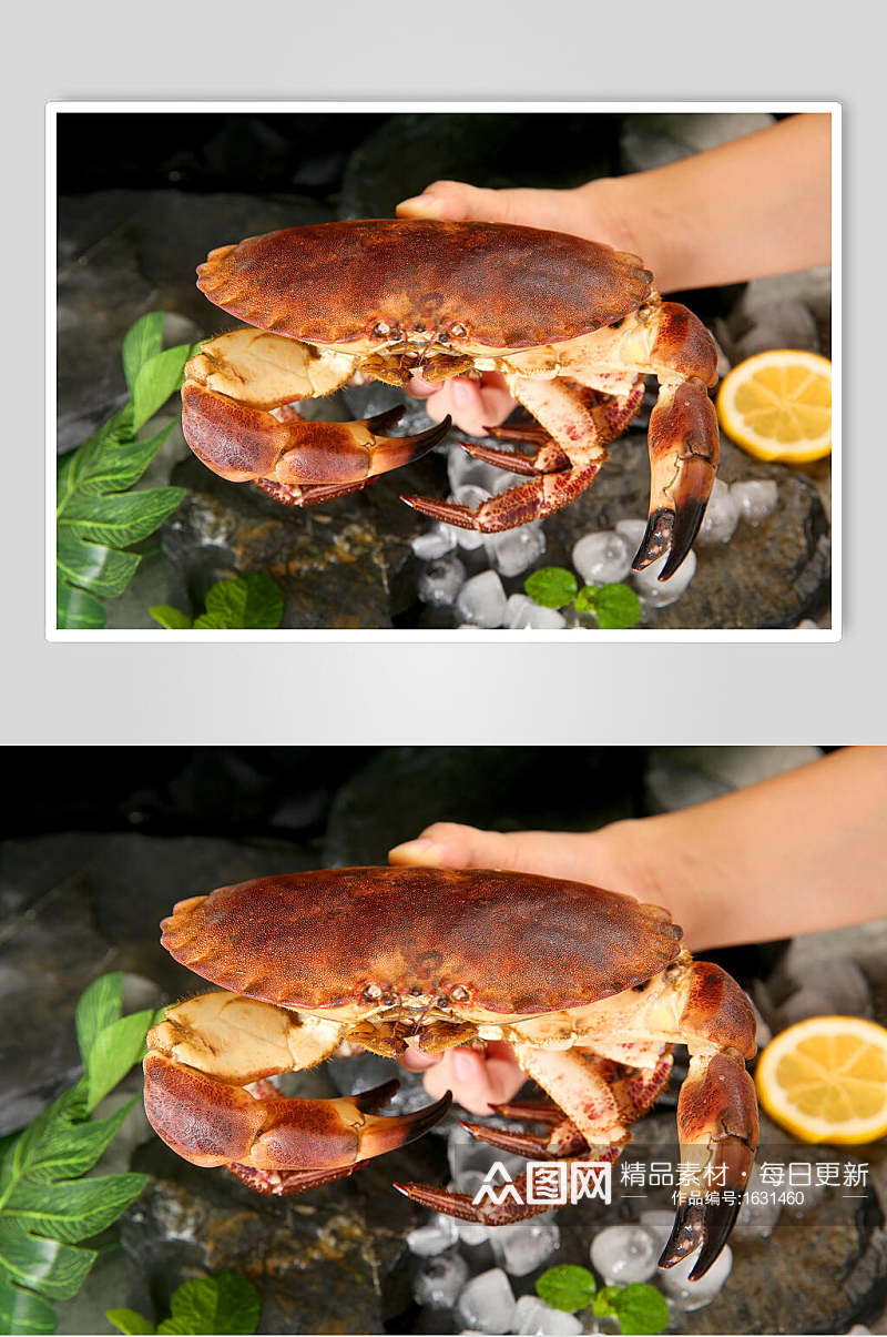新鲜面包蟹餐厅美食高清图片素材