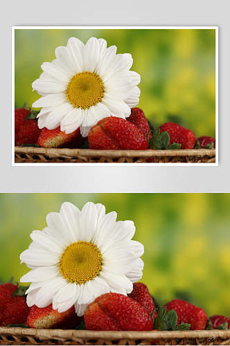 创意雏菊红色草莓篮筐摄影图