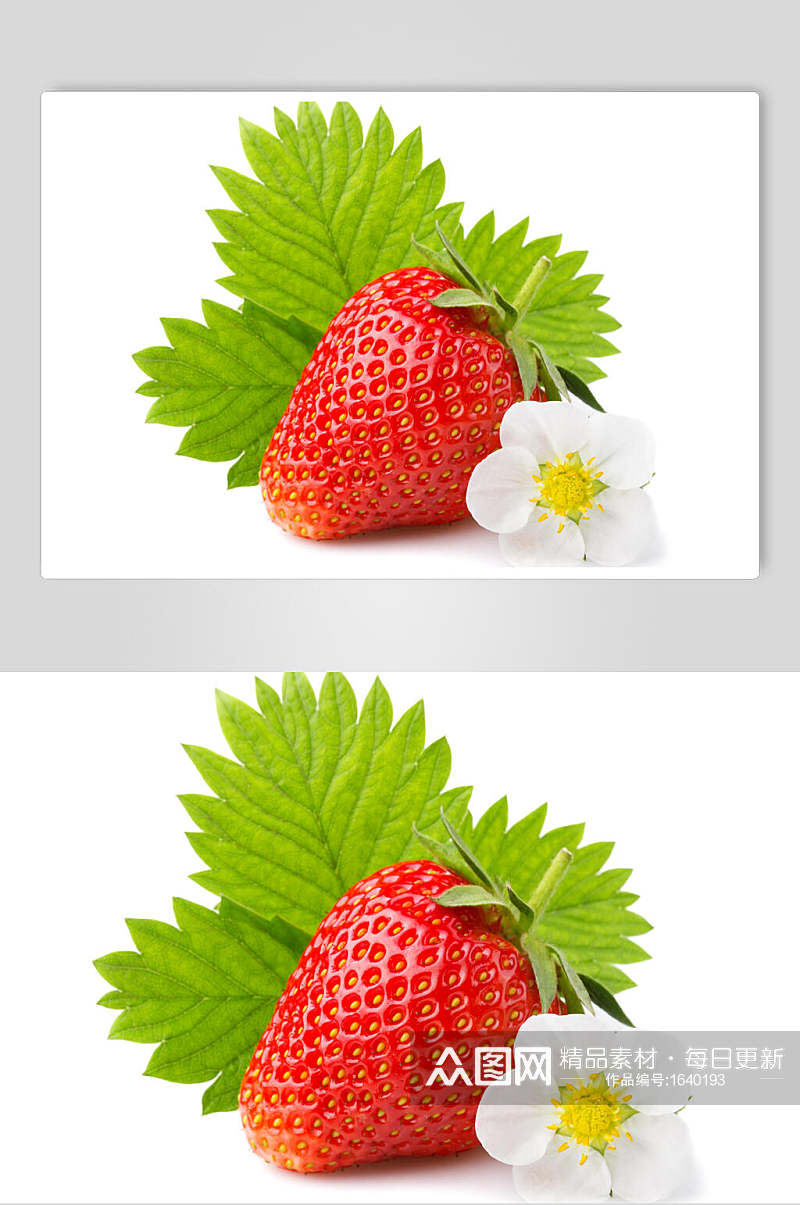 高清单颗特写草莓摄影图素材
