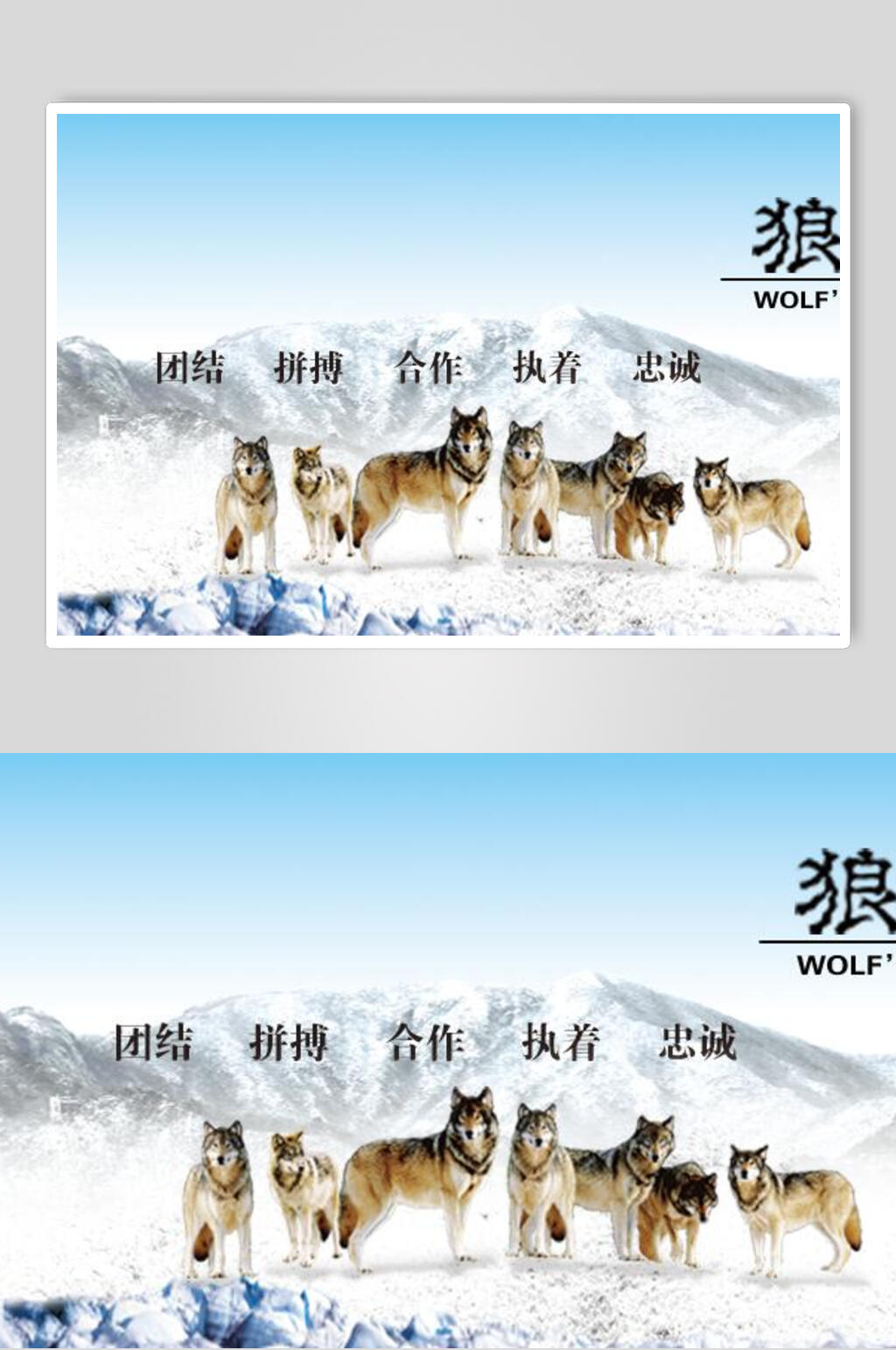 狼群公司企业文化海报设计素材