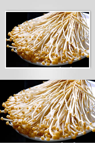 海鲜汤锅类金针菇高清图片