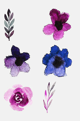 紫色水彩水粉花卉植物免抠png素材