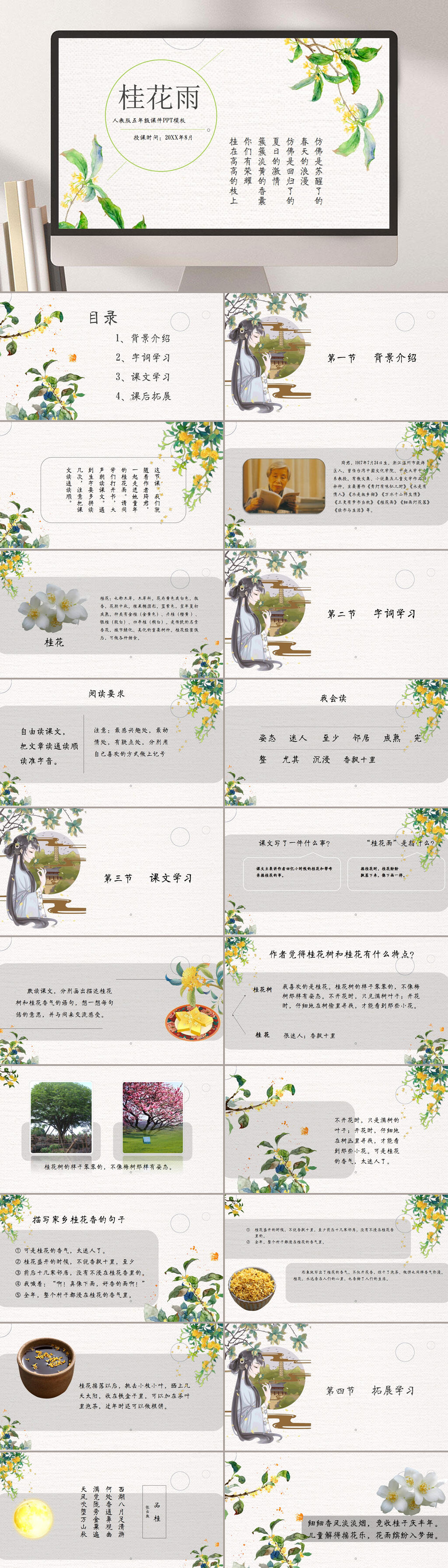 五年级桂花雨赏析PPT课件模板素材