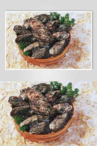 牡蛎餐厅美食高清图片