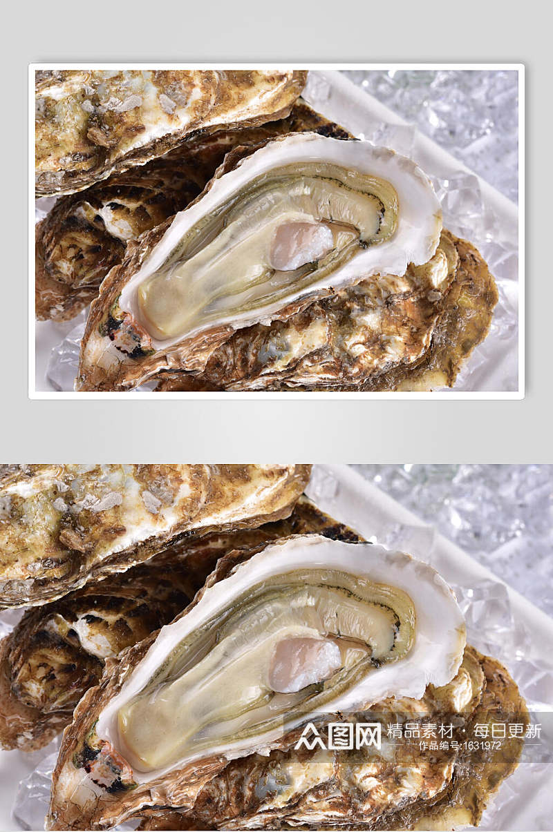 牡蛎美食高清图片素材