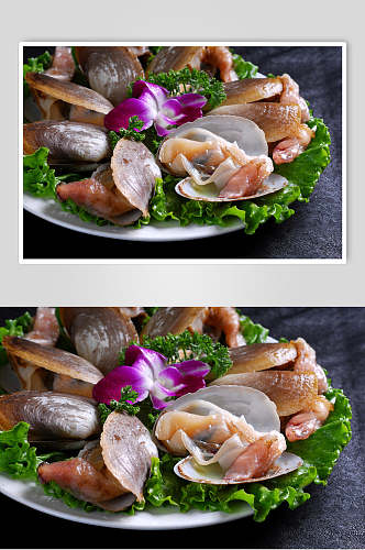 海鲜系列象拔蚌餐厅美食高清图片
