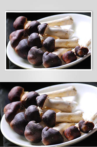 海鲜汤锅类球头菌食品高清图片